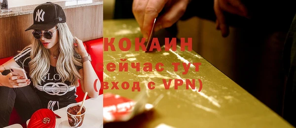 mdpv Вяземский